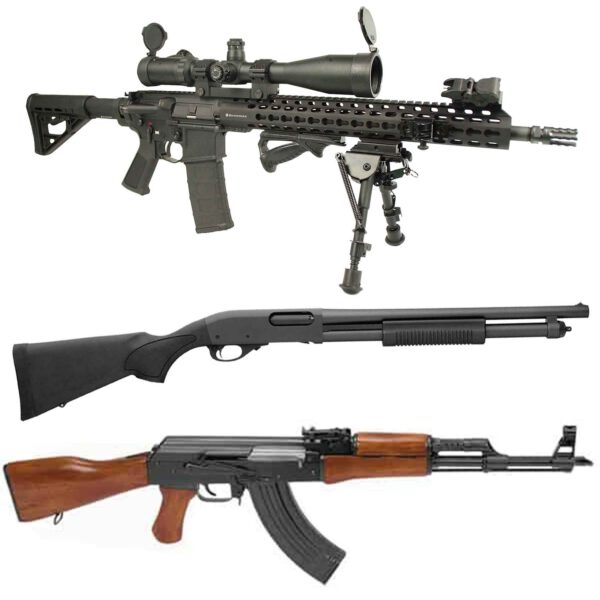 Schmeisser AR15 M5FL (25)  | Remington 870 Tactical (25) | AK47 clone – AK47 SDM (25)