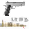 Taurus 1911er - Kaliber: .45 ACP